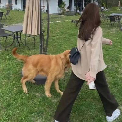 碧波女贼 封面